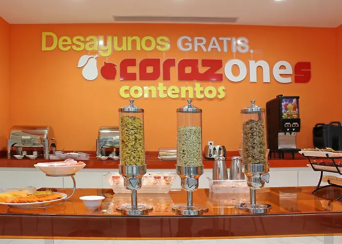 One Chihuahua Fashion Mall