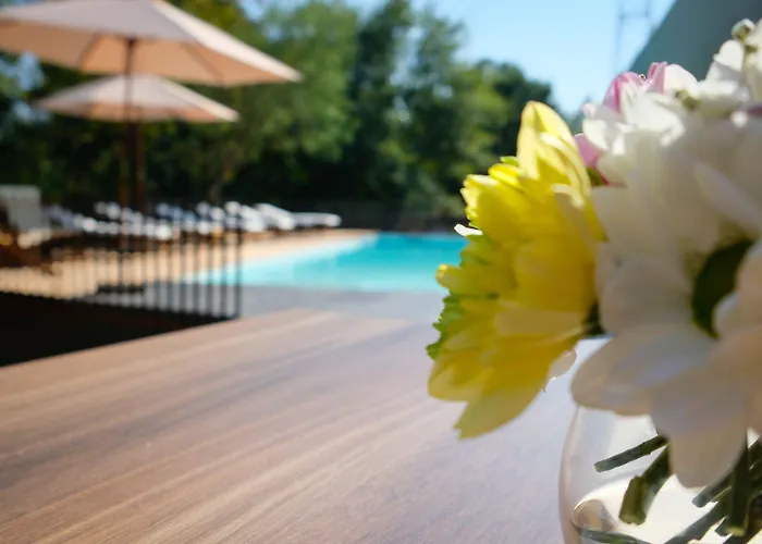 Quinta do Pedregal Hotel&Spa