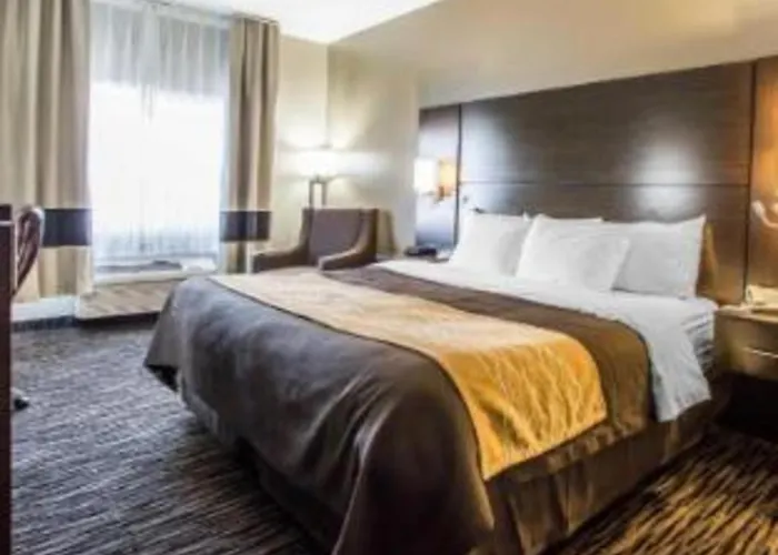 Quality Inn Dayton North - Vandalia