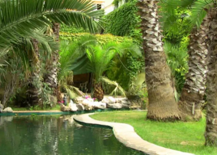 Hotel Las Navas