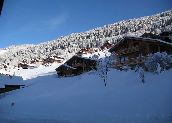 Hotel Les Triolets