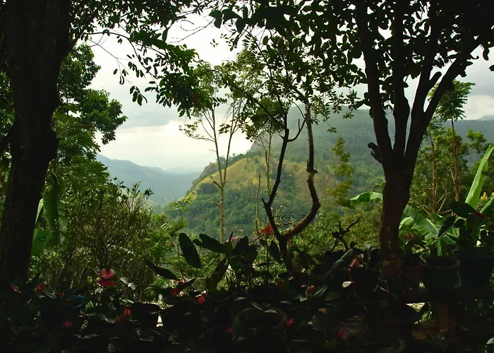 Wonderland View