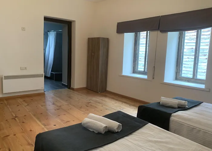 Hotel Lemi