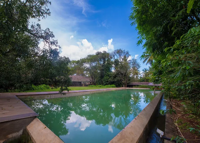 The Orchard Resort