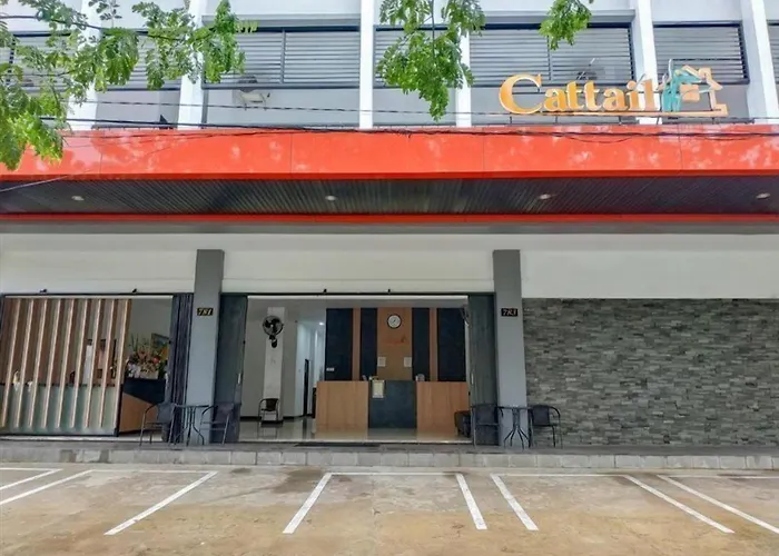 Cattail Guest House Pontianak