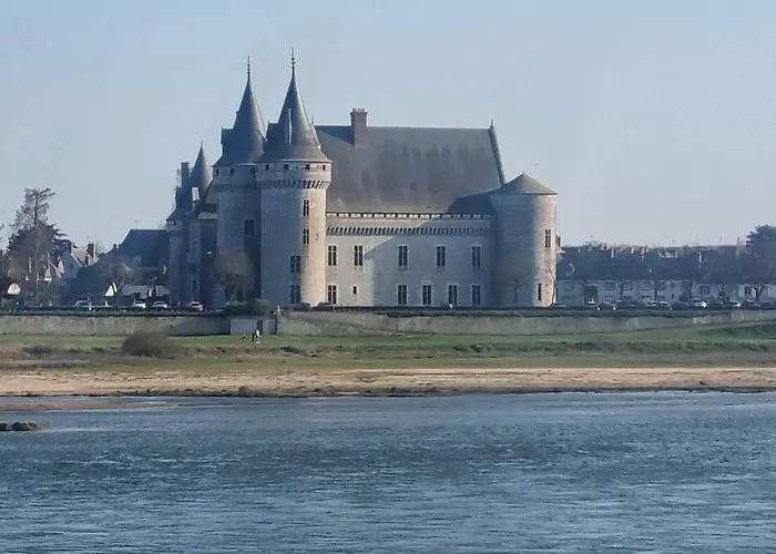 Logis Hôtel Sully le Château
