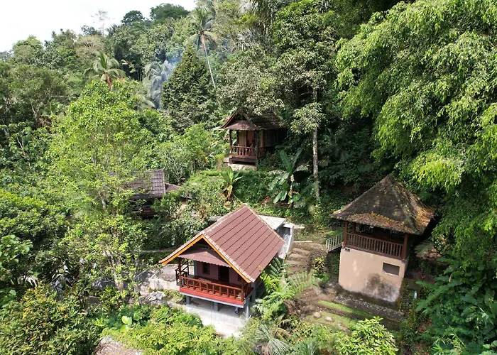 Bali Jungle Resort