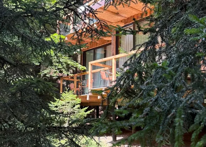 Echiviti Cottages In Abastumani