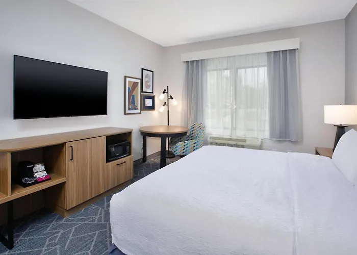 Hampton Inn Detroit/Belleville-Airport Area