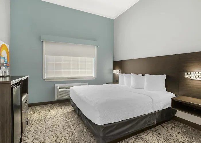 Best Western Plus New Caney Inn & Suites