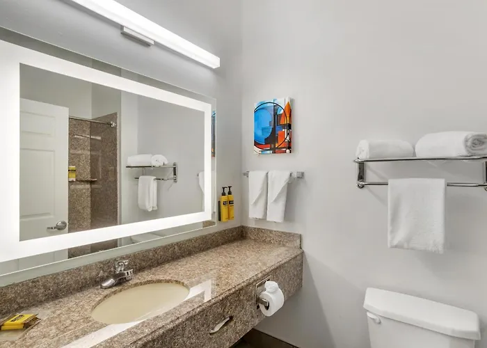 Best Western Plus New Caney Inn & Suites