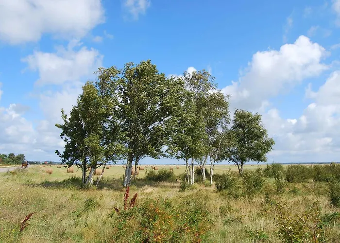 Hotel Hiddensee Hitthim