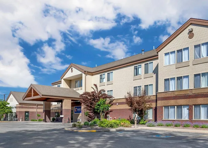 Comfort Inn & Suites New Lisbon