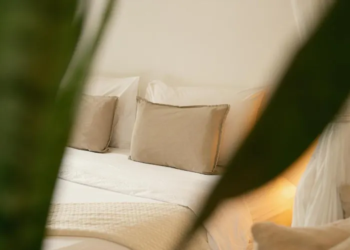 Big Tree Boutique Hotel