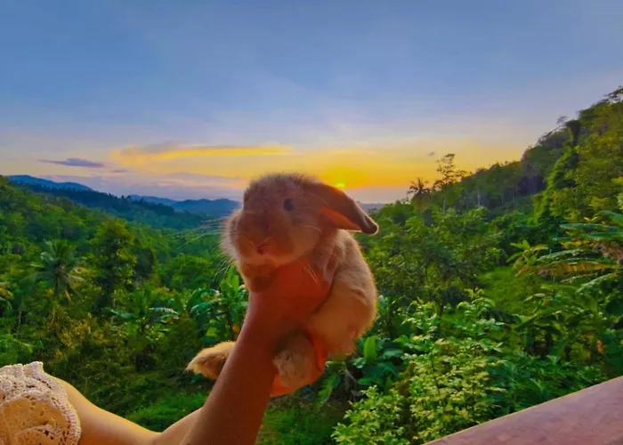 Sz Samui Glamping