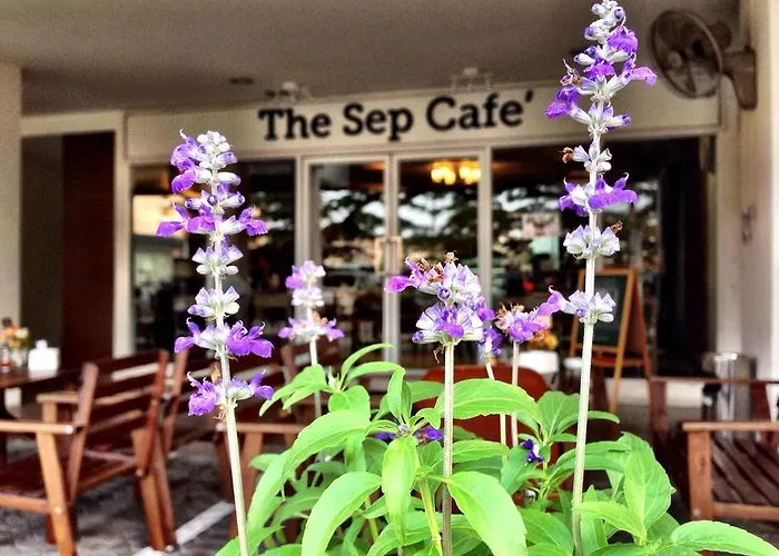 The September Salaya
