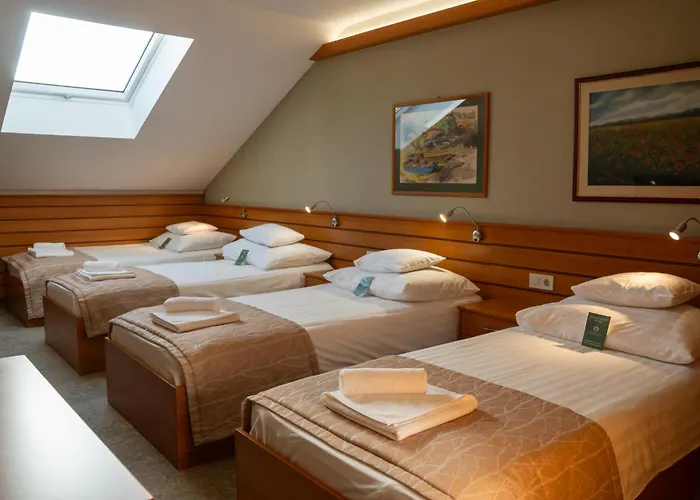 Hotel Club Tisza