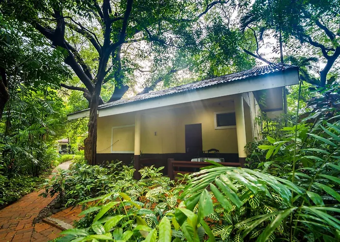 Lisland Rainforest Resort Urdaneta