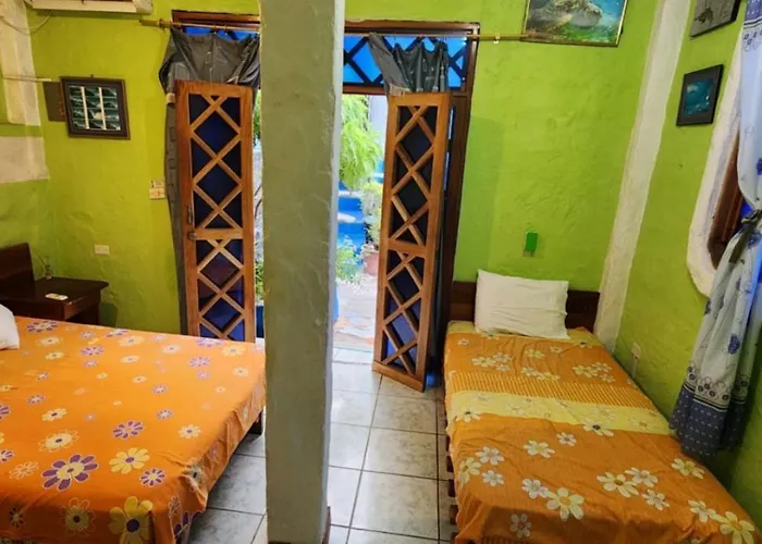 Penguin Hostel