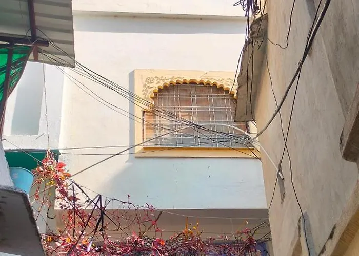 Little Peepal House