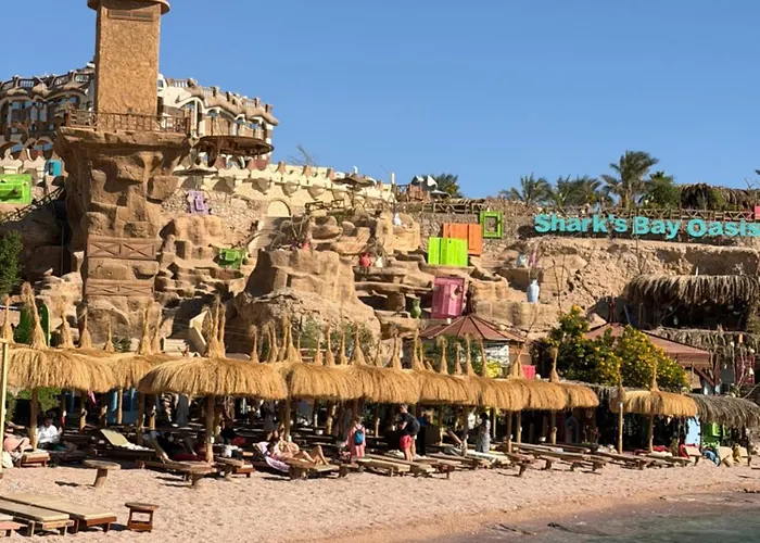 Sharks Bay Oasis Aqua Park