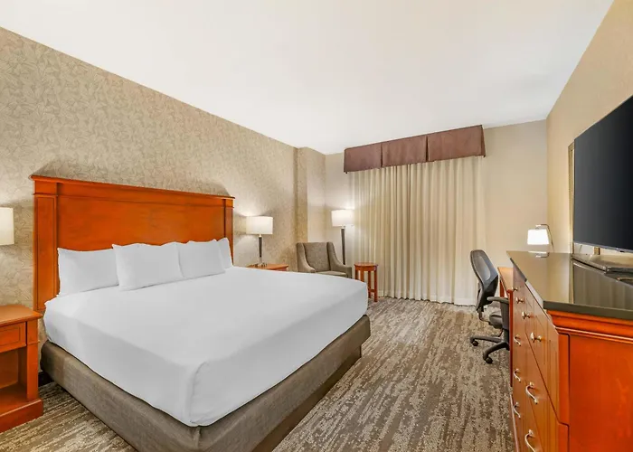 Drury Plaza Hotel St Louis Brentwood
