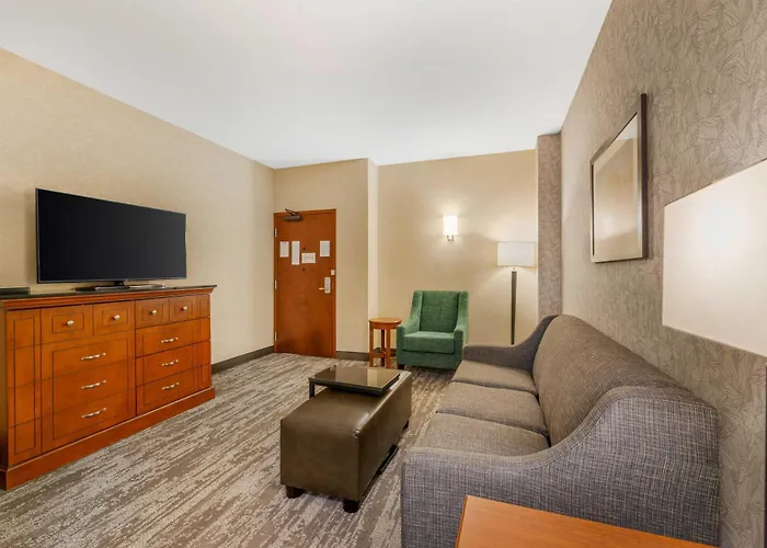 Drury Plaza Hotel St Louis Brentwood
