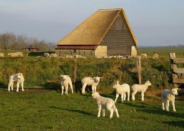 Hotel Havenzicht Texel