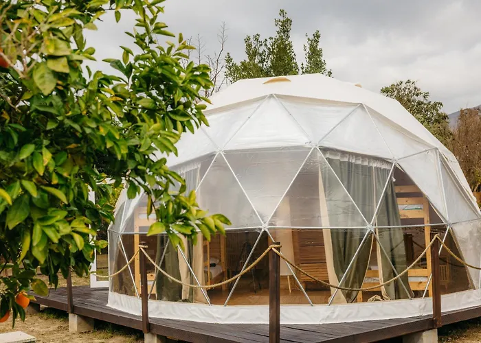 Hotel Taray Botanico