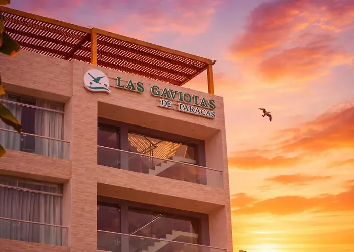 Las Gaviotas De Paracas