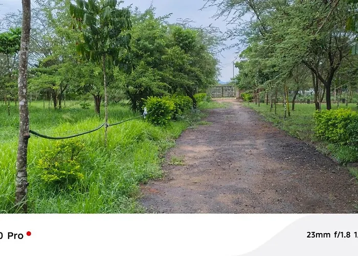 Limas Camp Mikumi
