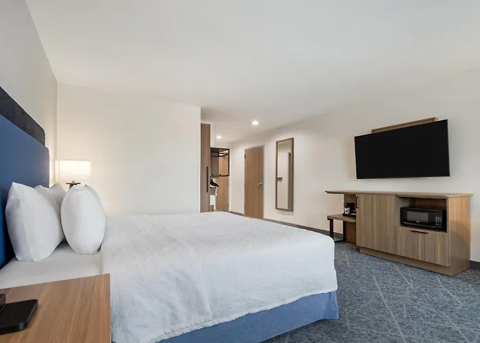 Hampton Inn & Suites By Hilton Irving Dfw Airport North