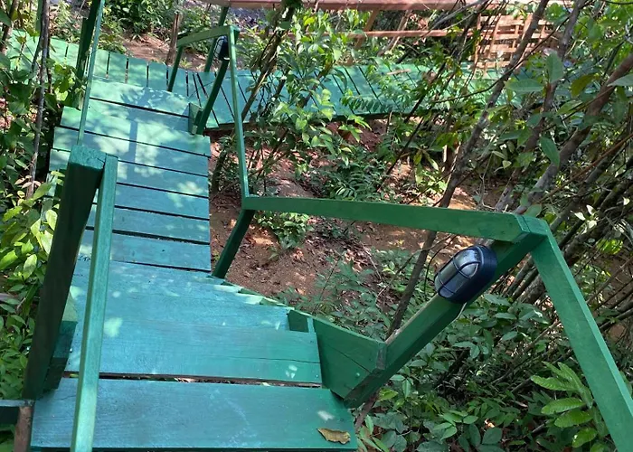 tapiri anavilhanas lodge
