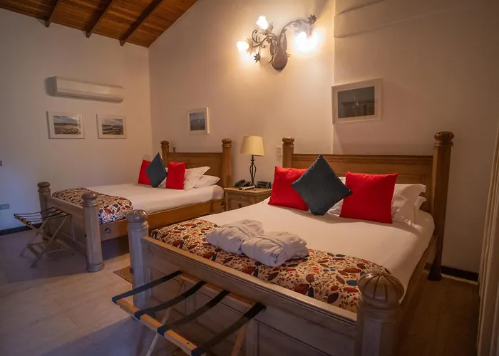 Ara Merú Lodge