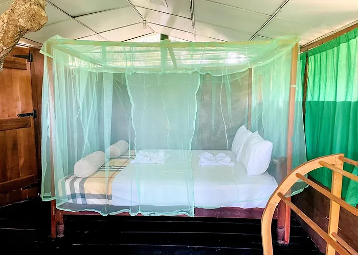 Green Tree House Yala