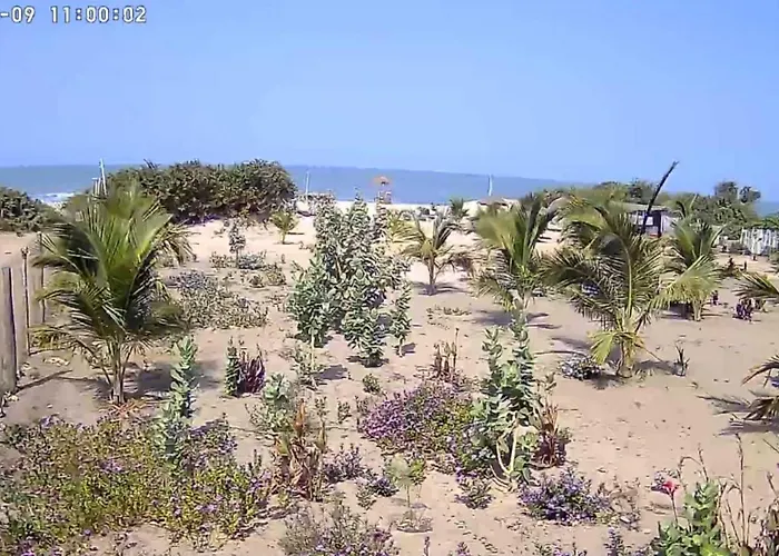 Demba Dou Suites Gardens