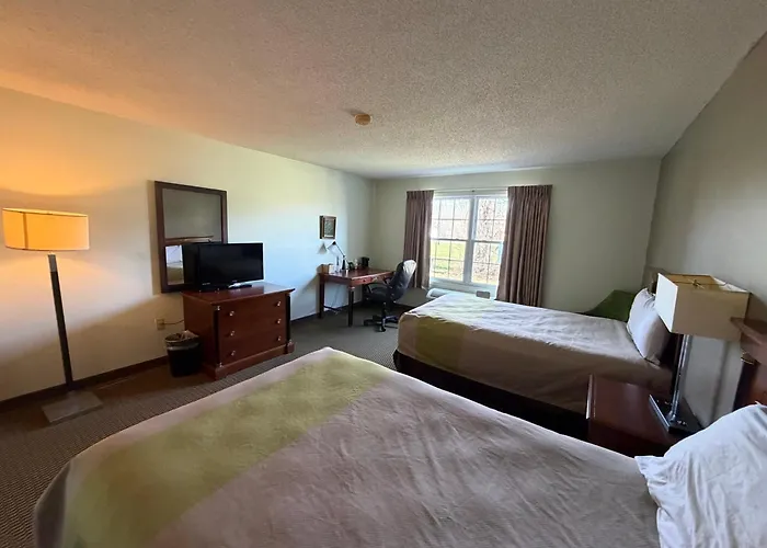 Royal Inn Rockville In By Hotel O