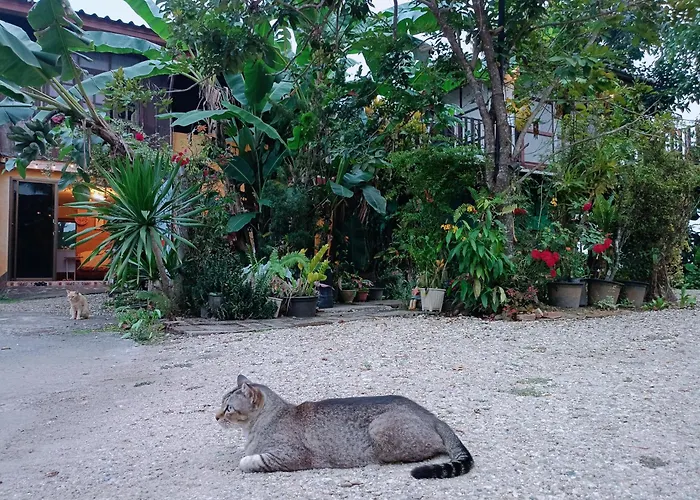 Six Nature Resort