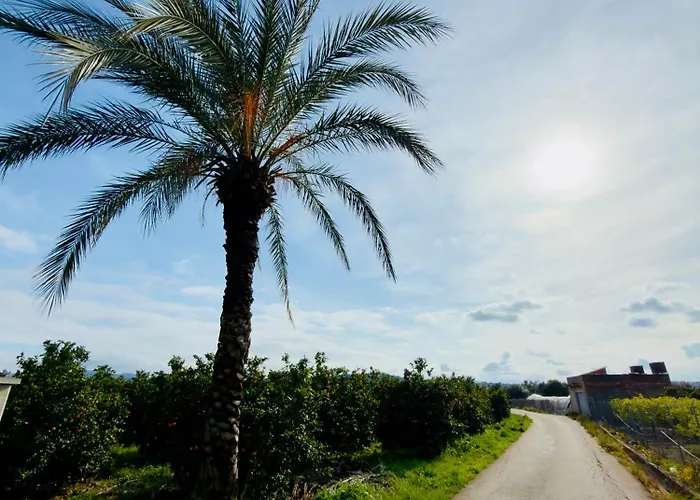 Casa Sibarita