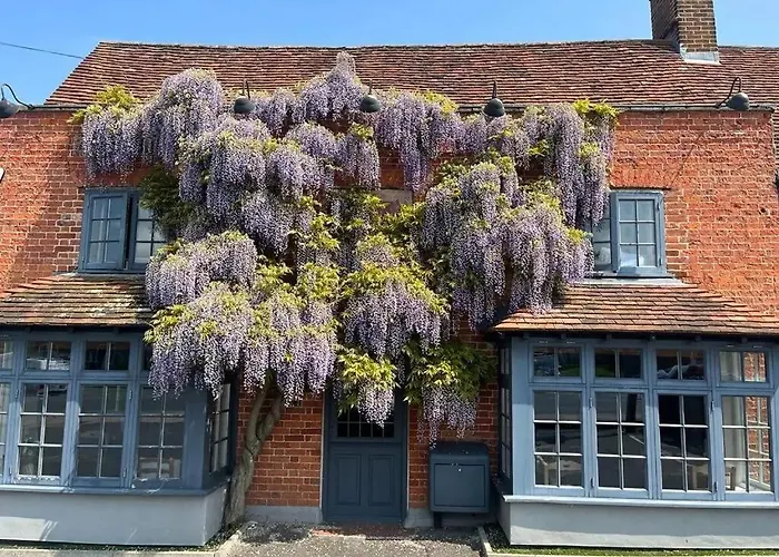 Broad Leys