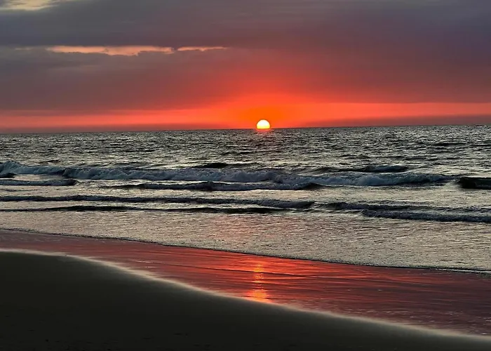 Riviera Vichayito