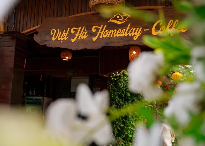 Tam Coc Viet Ha Homestay