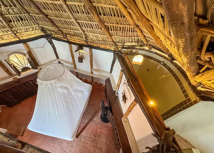 Shambhala Visión