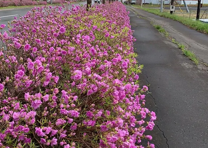 ビジネスホテル幸楽