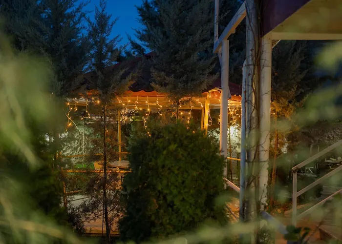 Სასტუმრო Ამელი/Hotel Ameli