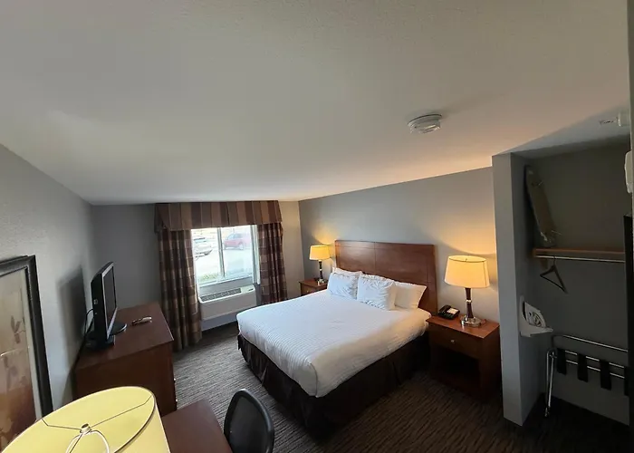 American Inn & Suites