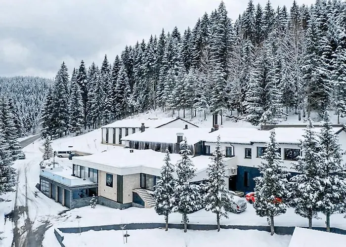 Hotel Forest