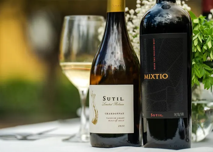 Vina La Playa Hotel & Winery By Sutil Wines