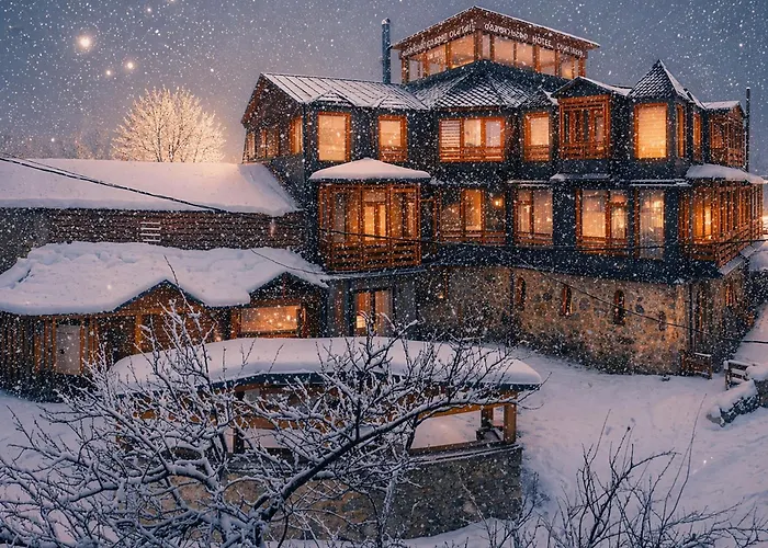 Hotel Old Seti