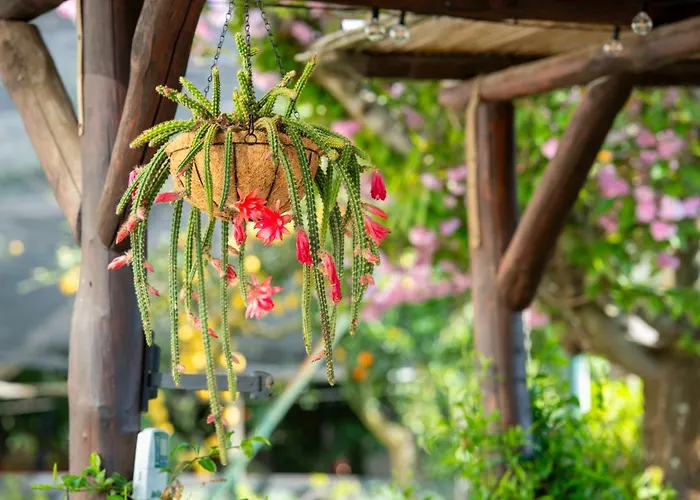 B&B La Casa Nel Giardino